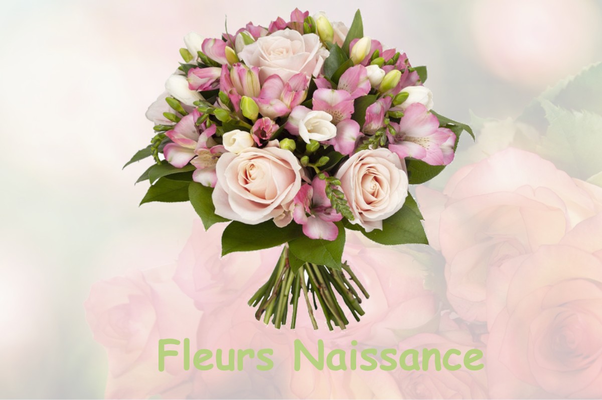 fleurs naissance COULOUNIEIX-CHAMIERS